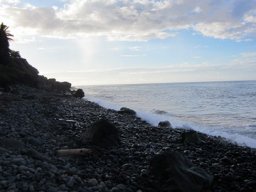 Visite de la petite cousine !